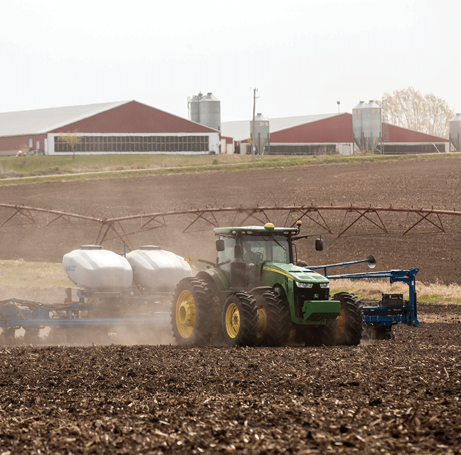 Photography of people, pigs, grain and fields from Reicks View Farms in Lawler, Iowa. Photo by Beth Hall