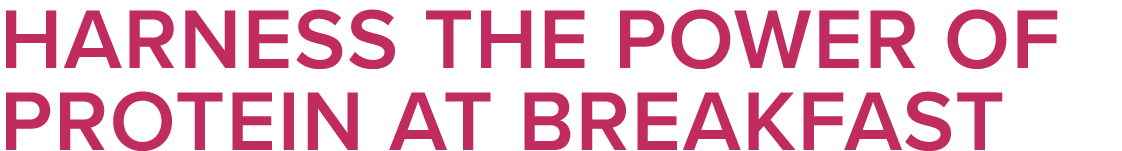 Harness the Power of Protein at Breakfast